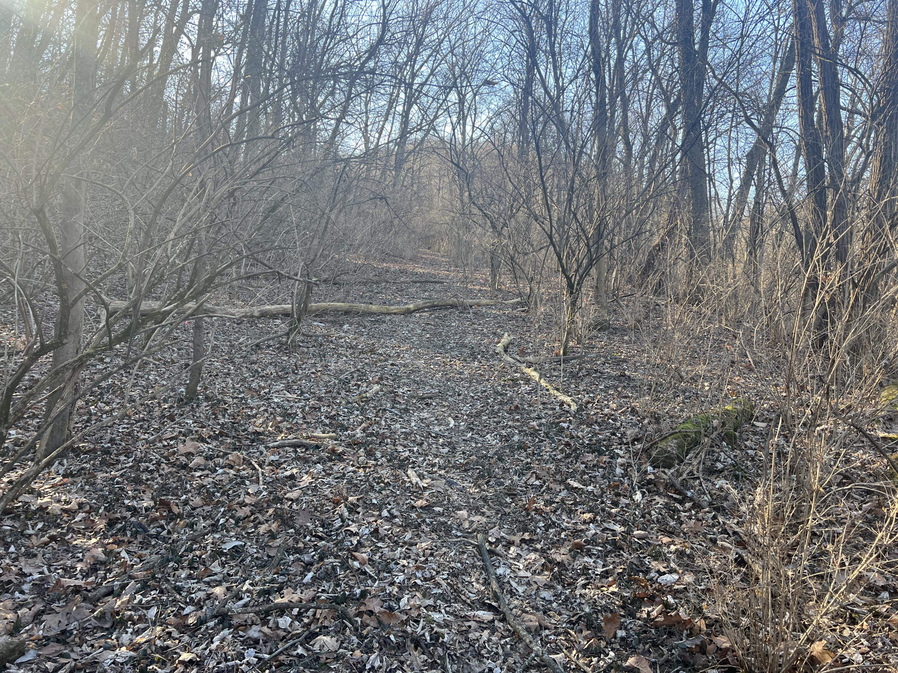 4840 Kollman Avenue Property Photo 1