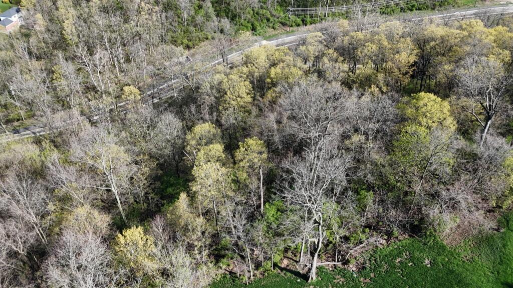 2139 Bromley-crescent Springs Road Property Photo 9