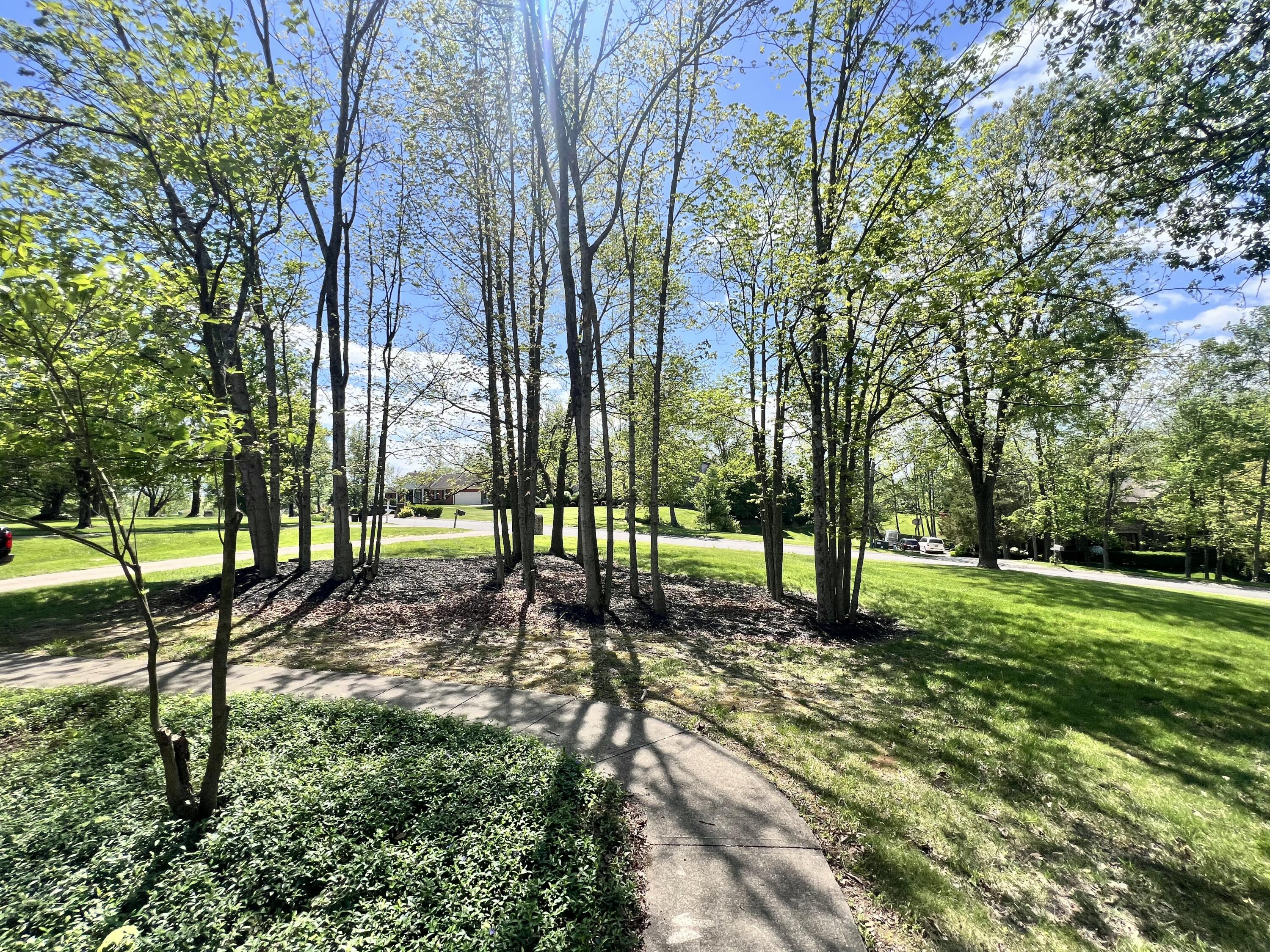 9754 Windsor Way Property Photo 4