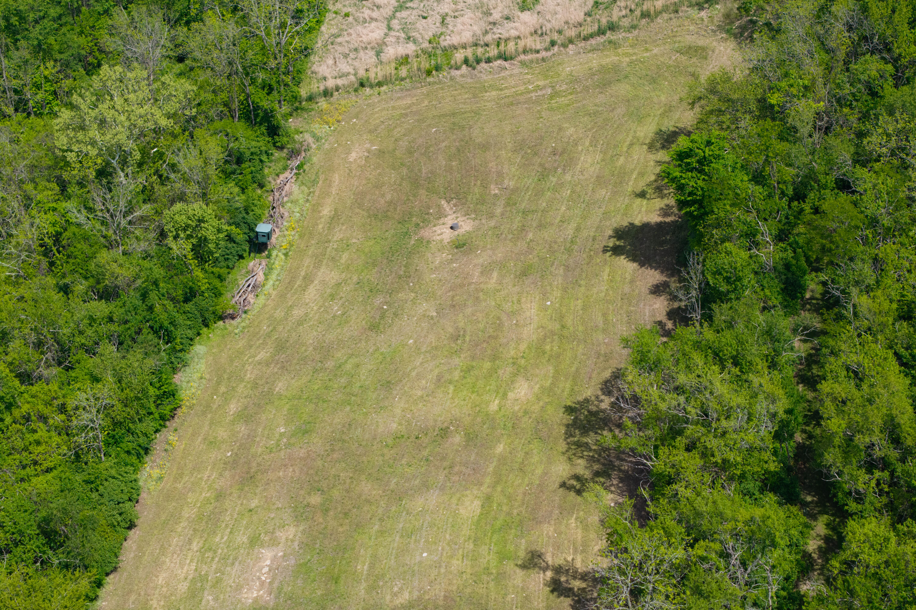 5242 Waterloo Road Property Photo 23