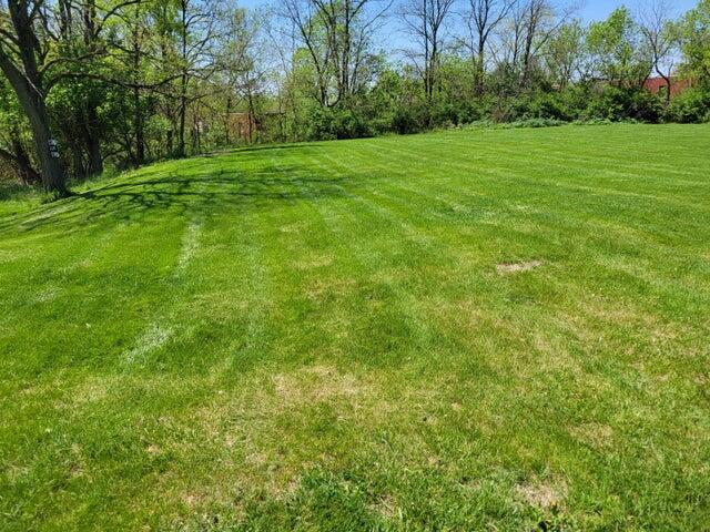 0000 Dixie Highway Hwy Property Photo 2