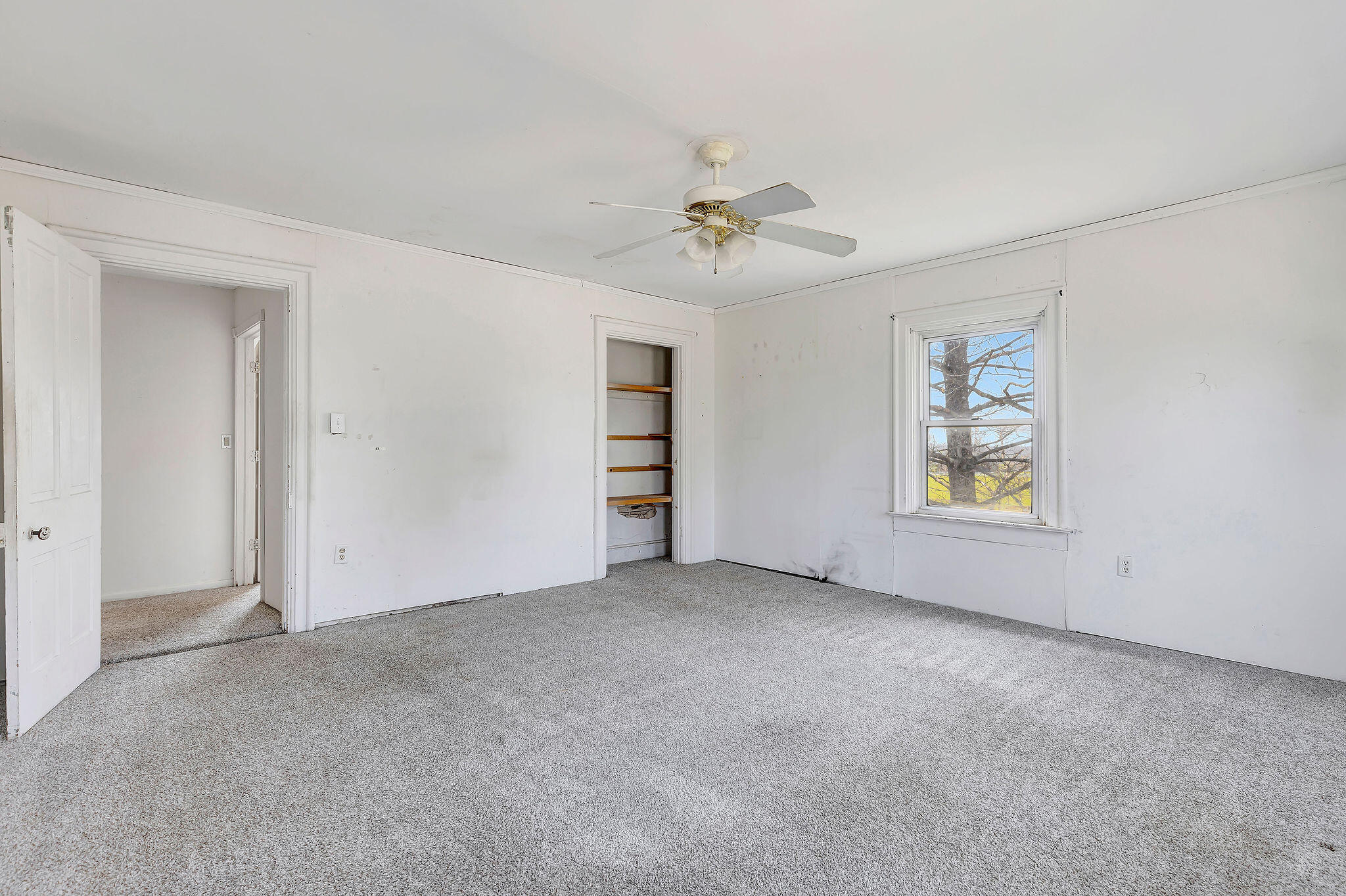 1030 Bannister Pike Property Photo 29