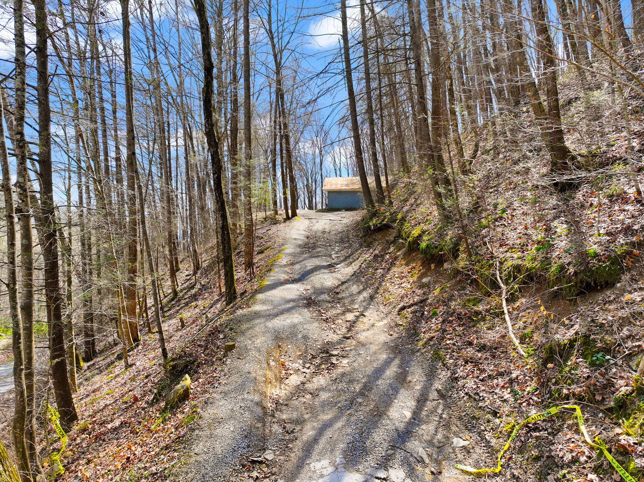 1197 Beans Fork Road Property Photo 2