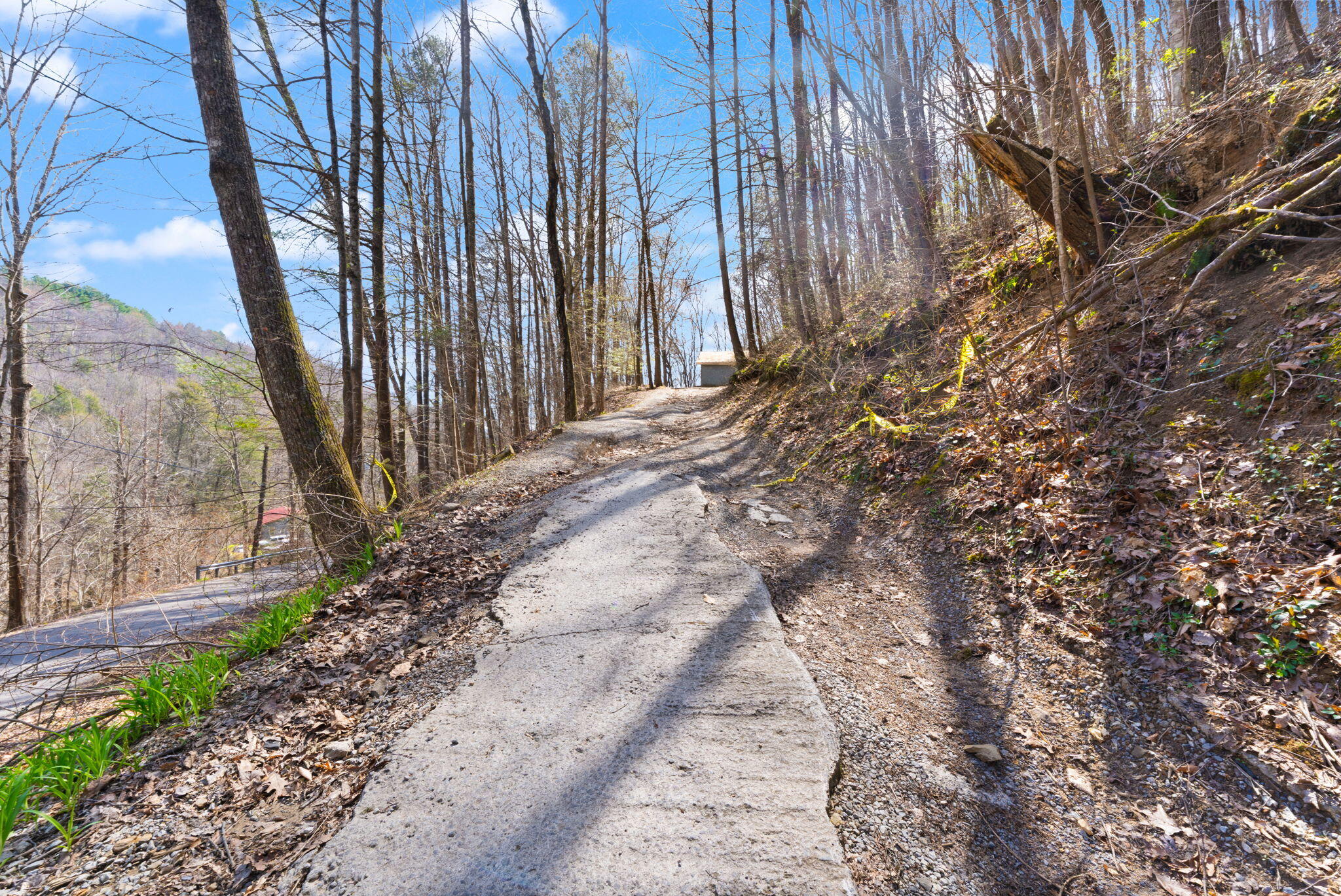 1197 Beans Fork Road Property Photo 3