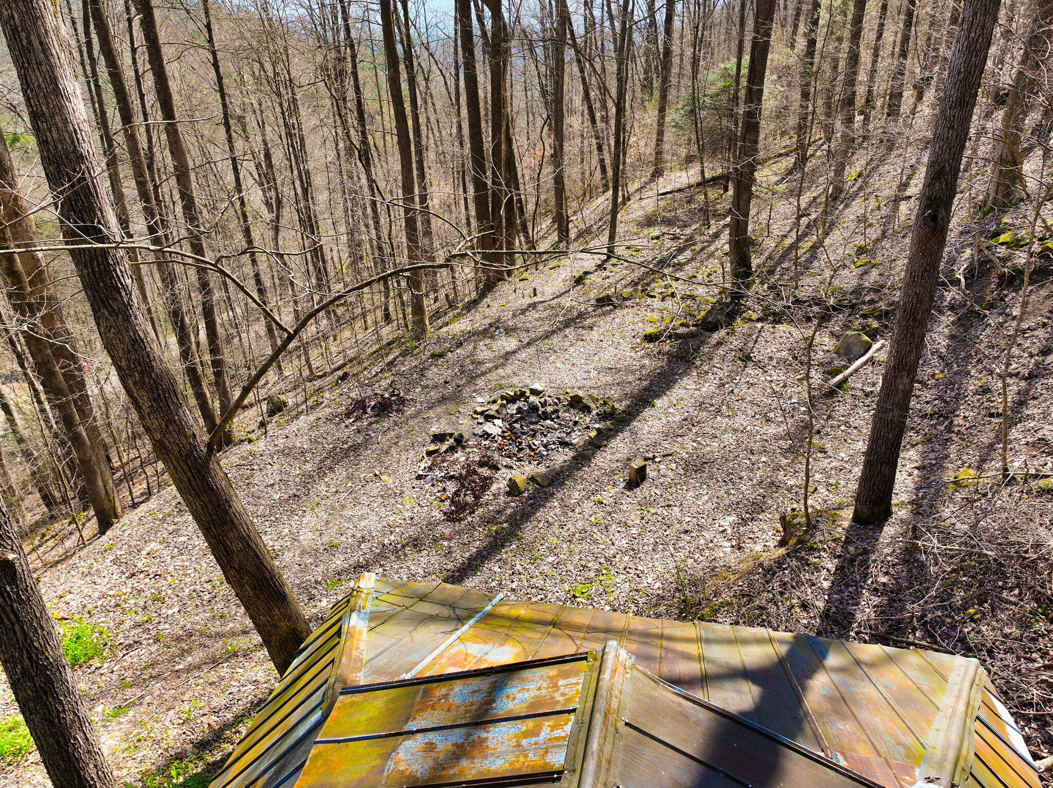 1197 Beans Fork Road Property Photo 19