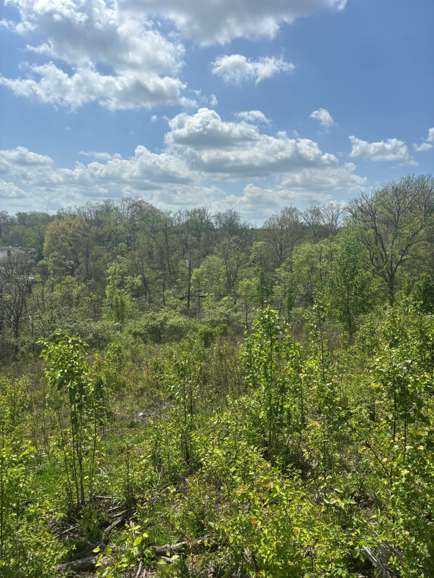 85 Kentucky Drive Property Photo 1