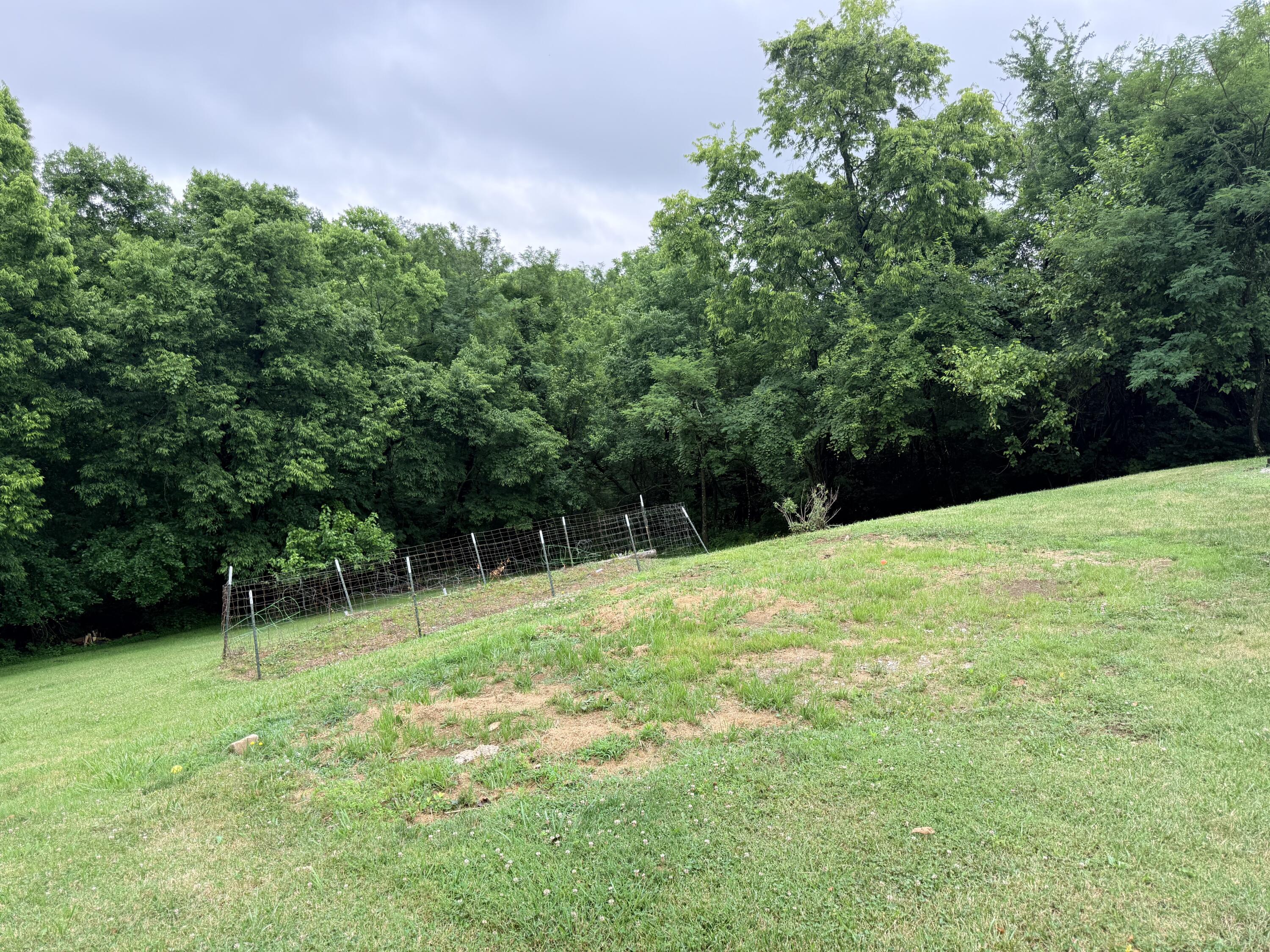 111 Kelly Court Property Photo 6