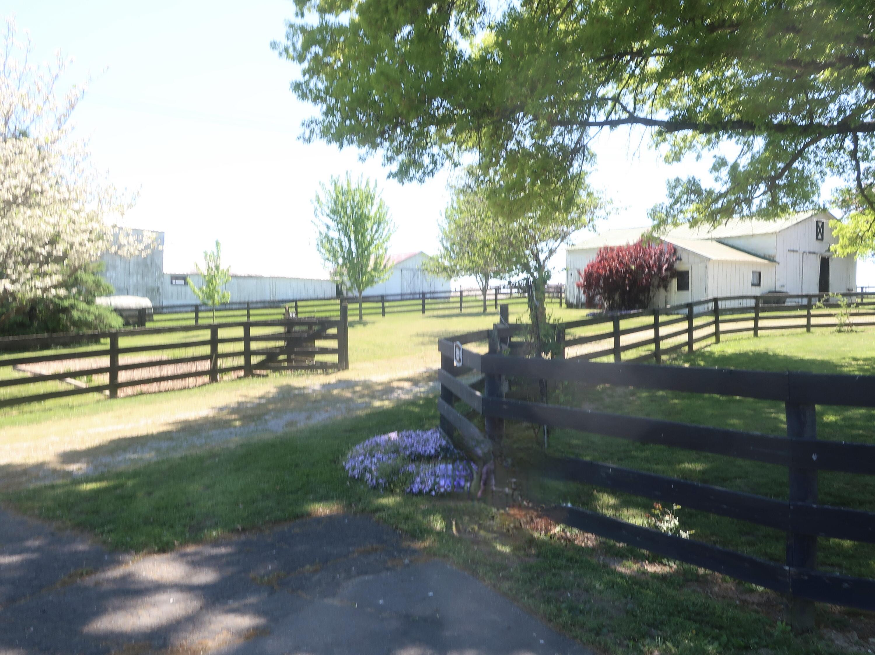 3869 Ky-435 Property Photo 10