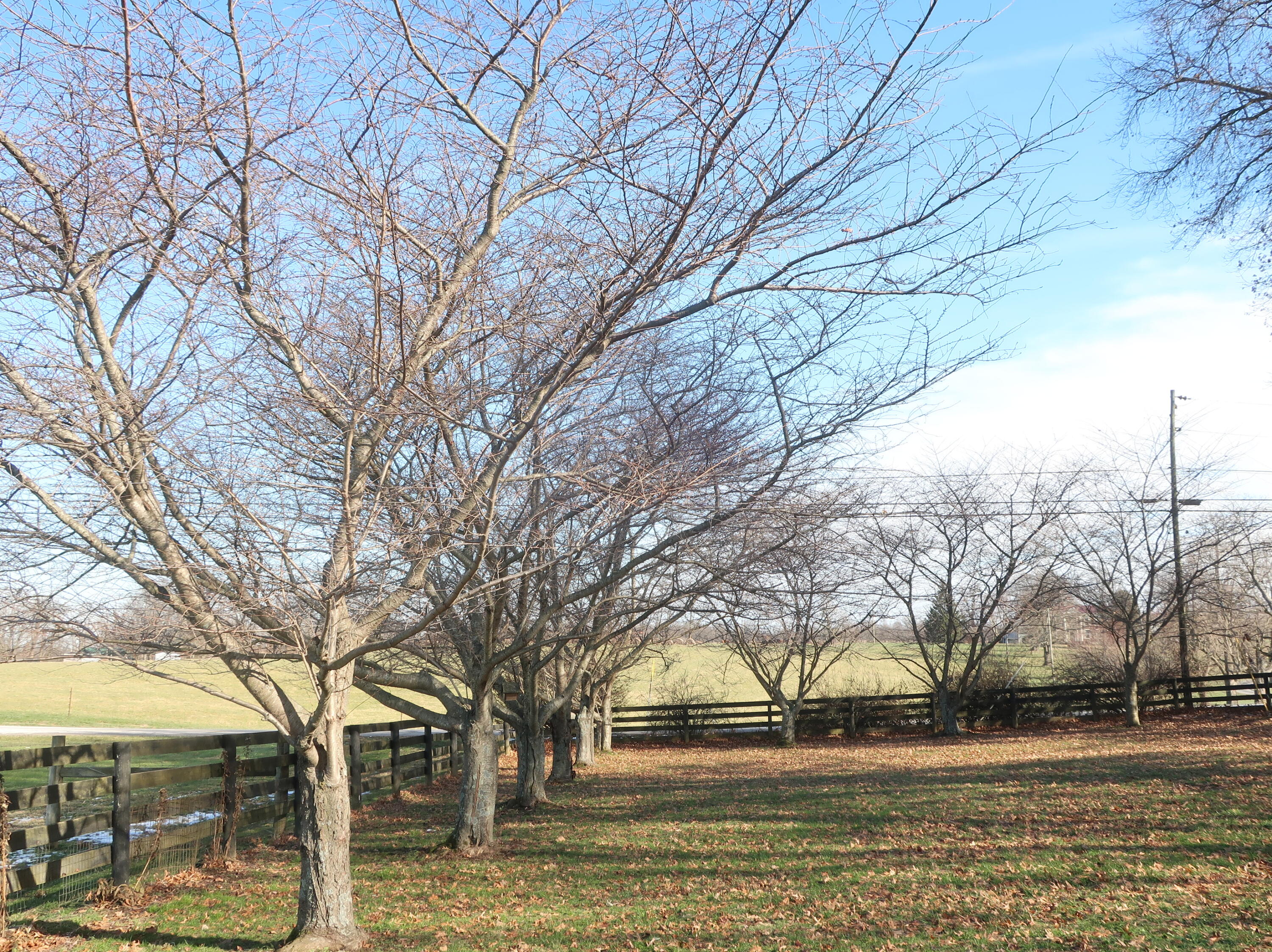 3869 Ky-435 Property Photo 33