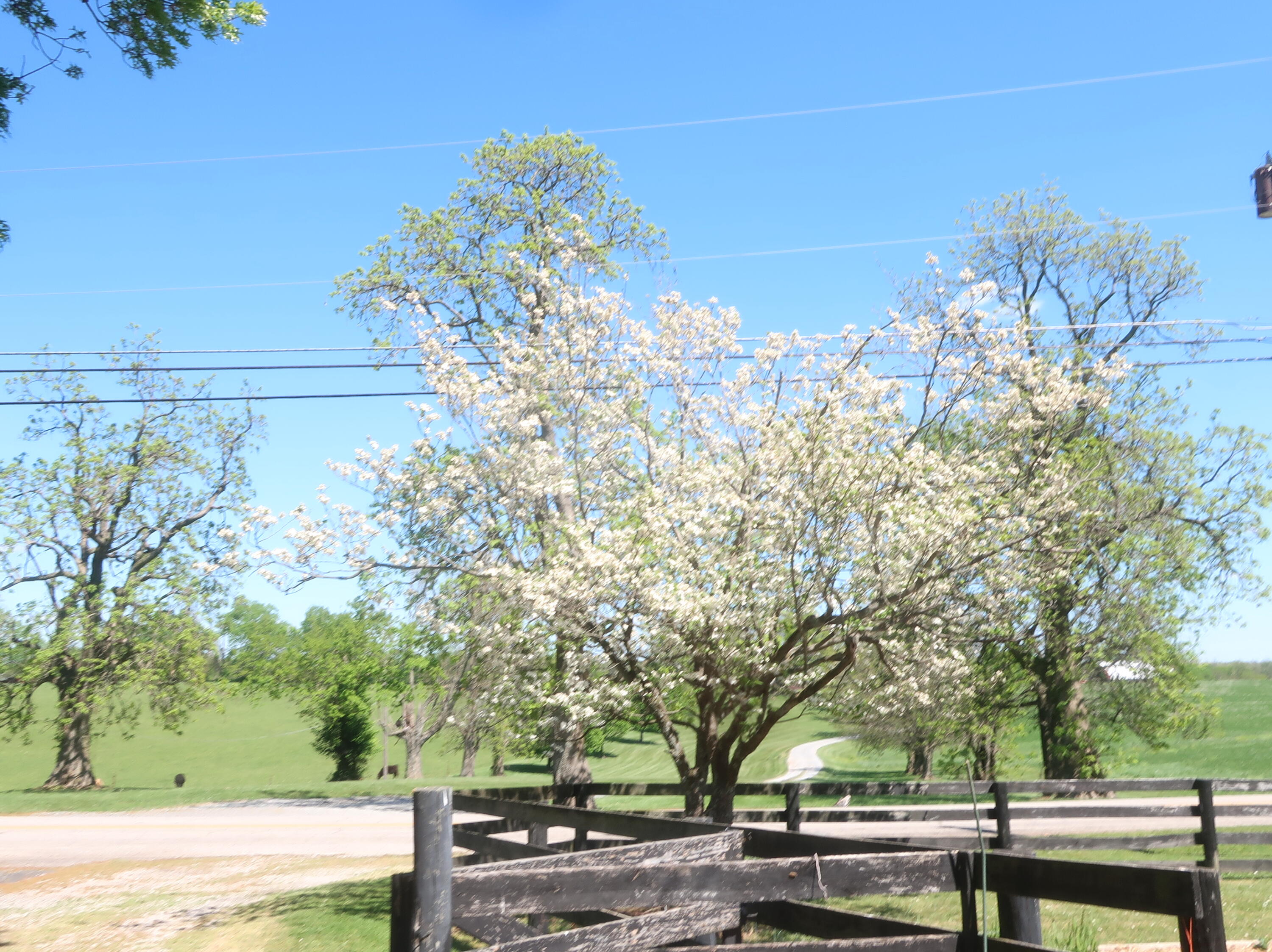 3869 Ky-435 Property Photo 46