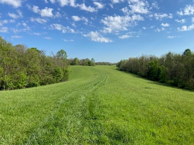 2451 Sardis Road Property Photo 2