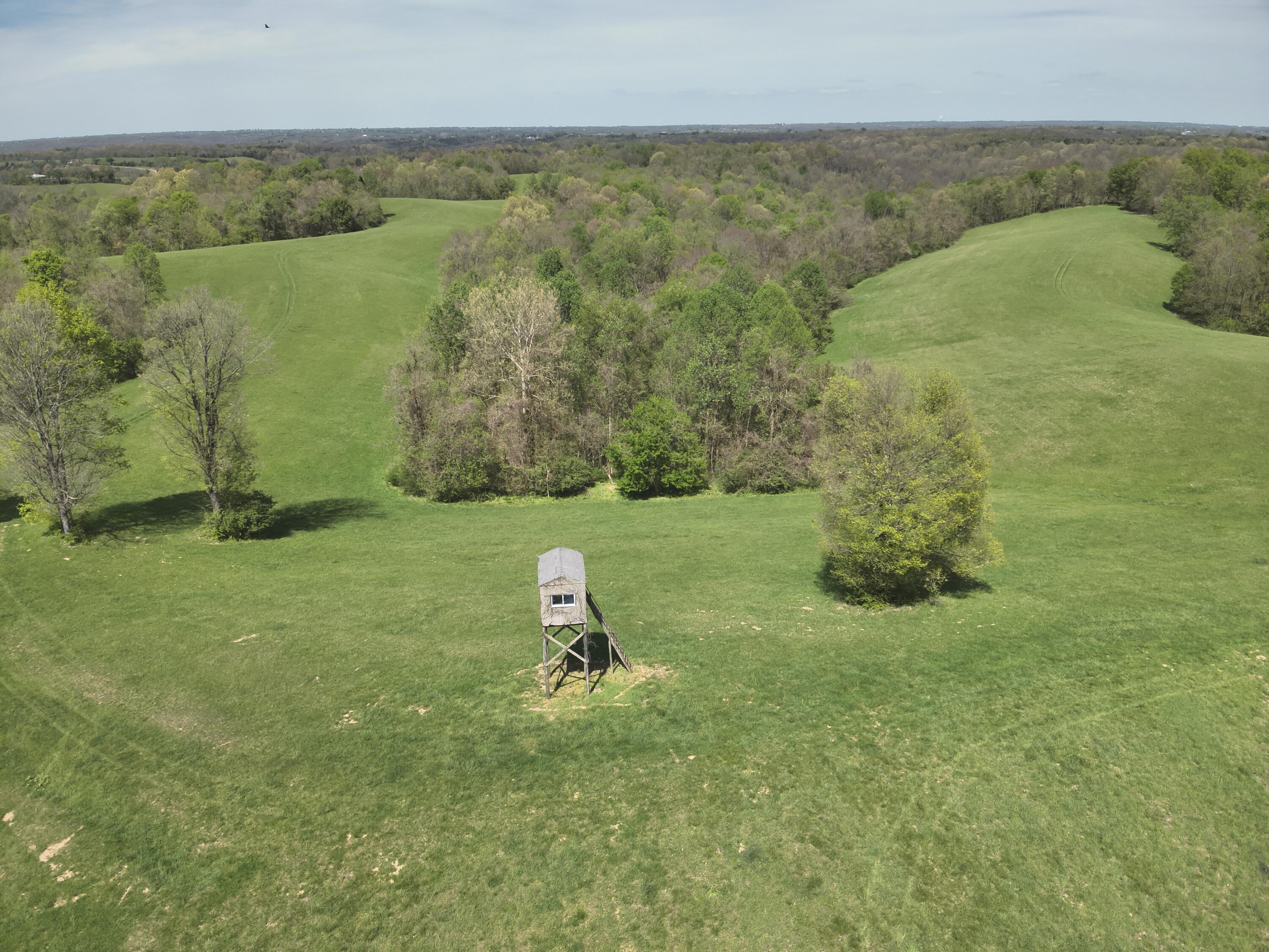 2451 Sardis Road Property Photo 3