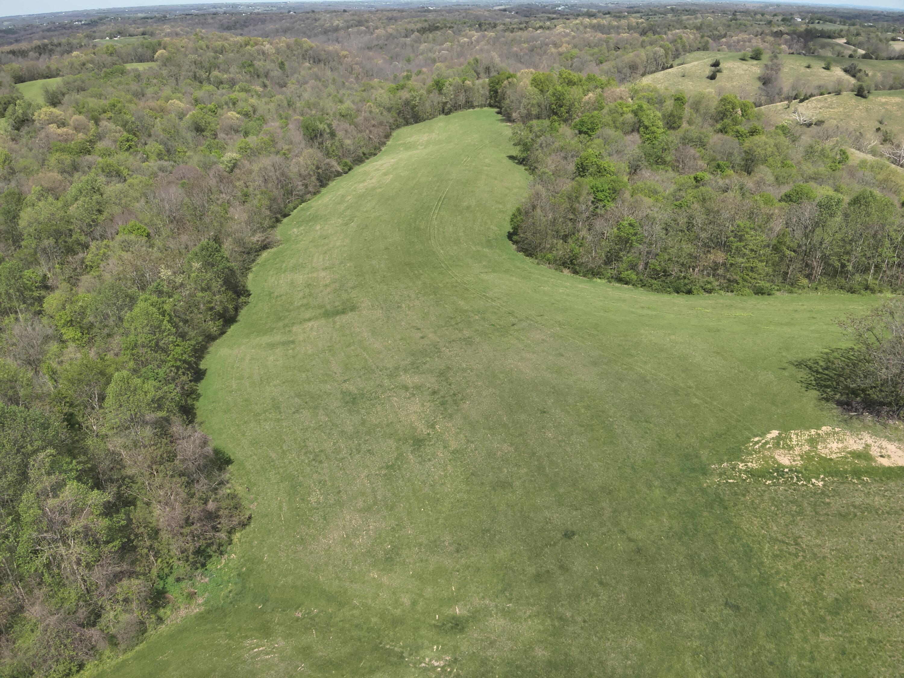 2451 Sardis Road Property Photo 4