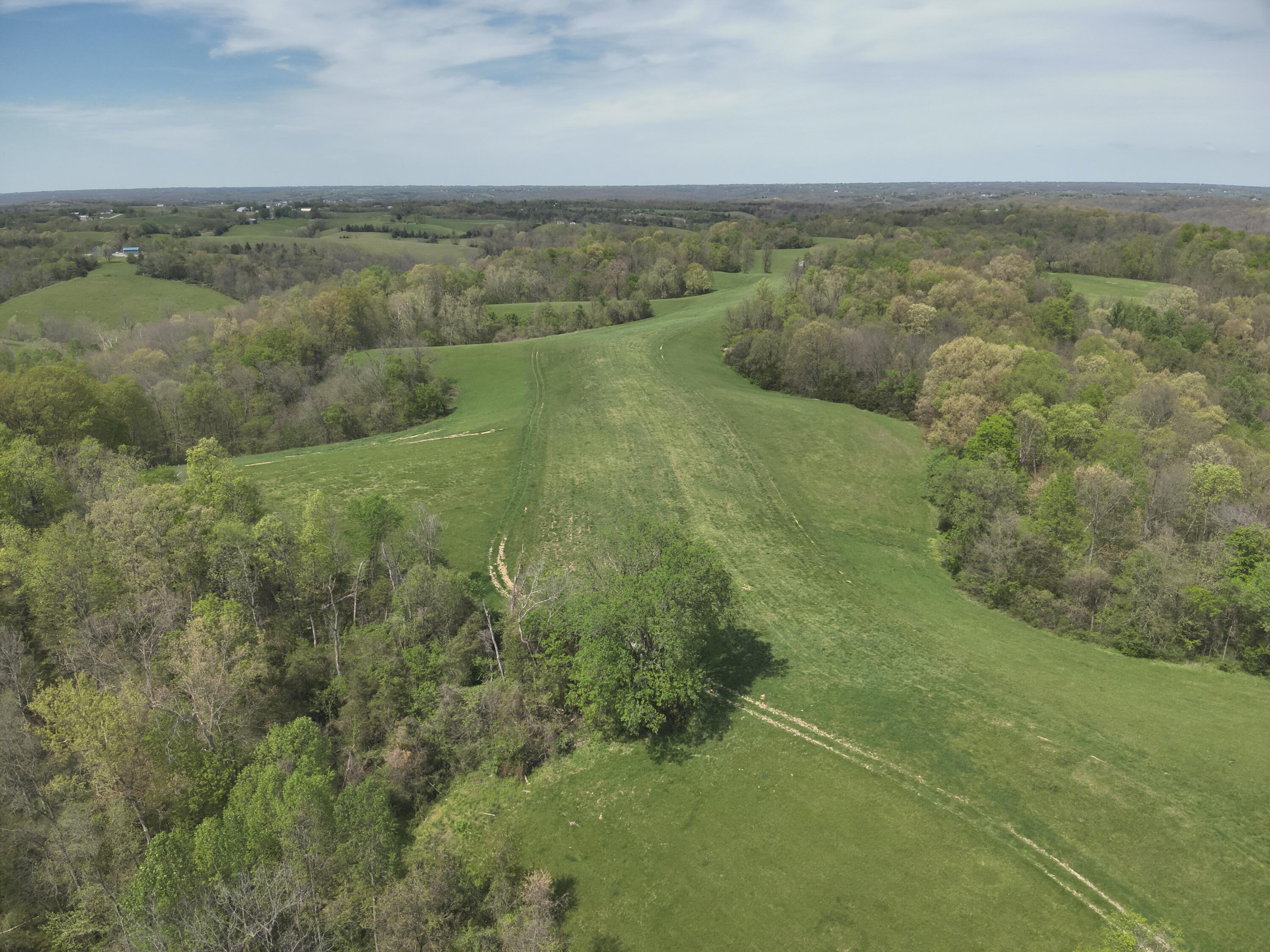 2451 Sardis Road Property Photo 6