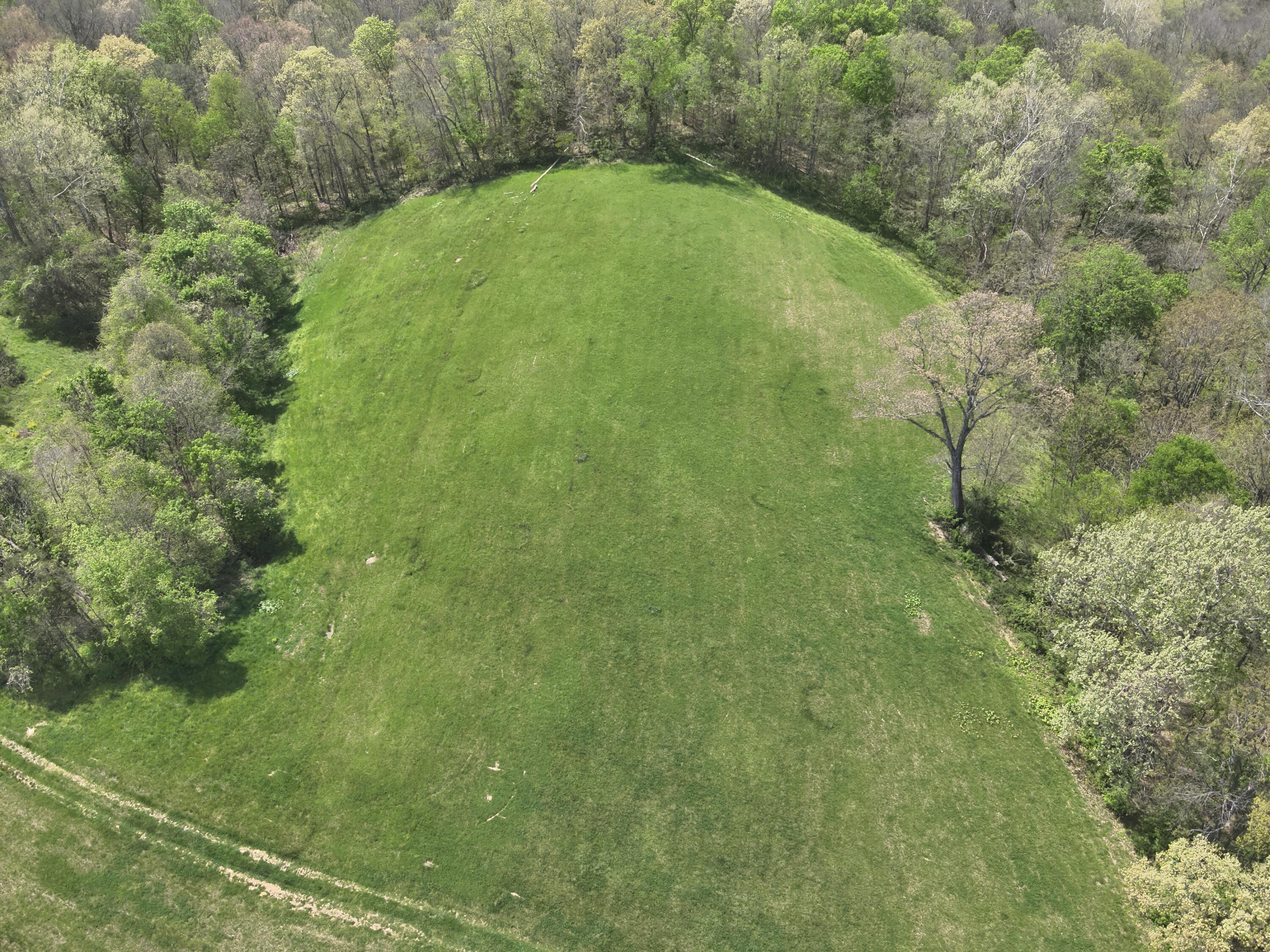 2451 Sardis Road Property Photo 9