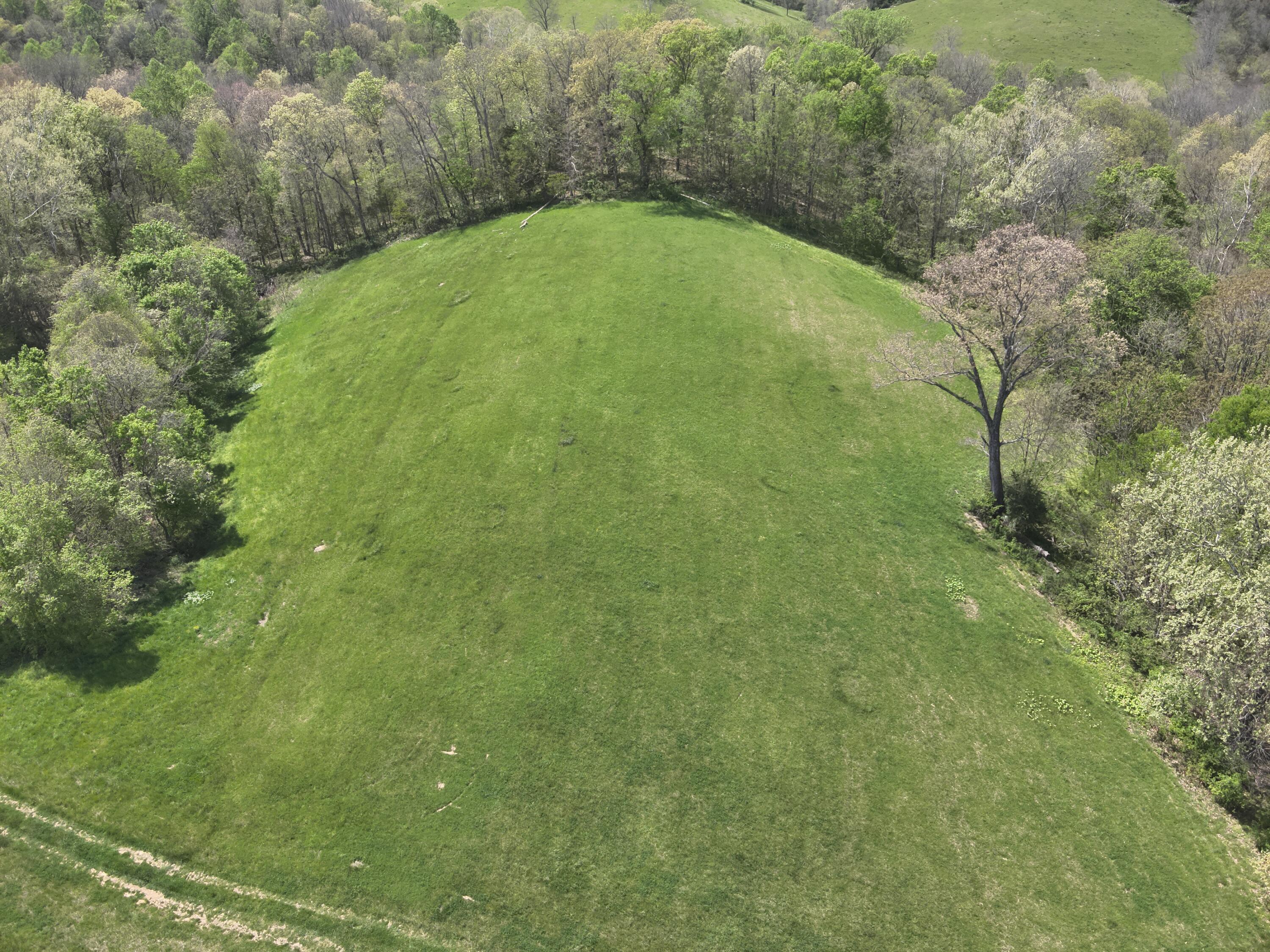 2451 Sardis Road Property Photo 13