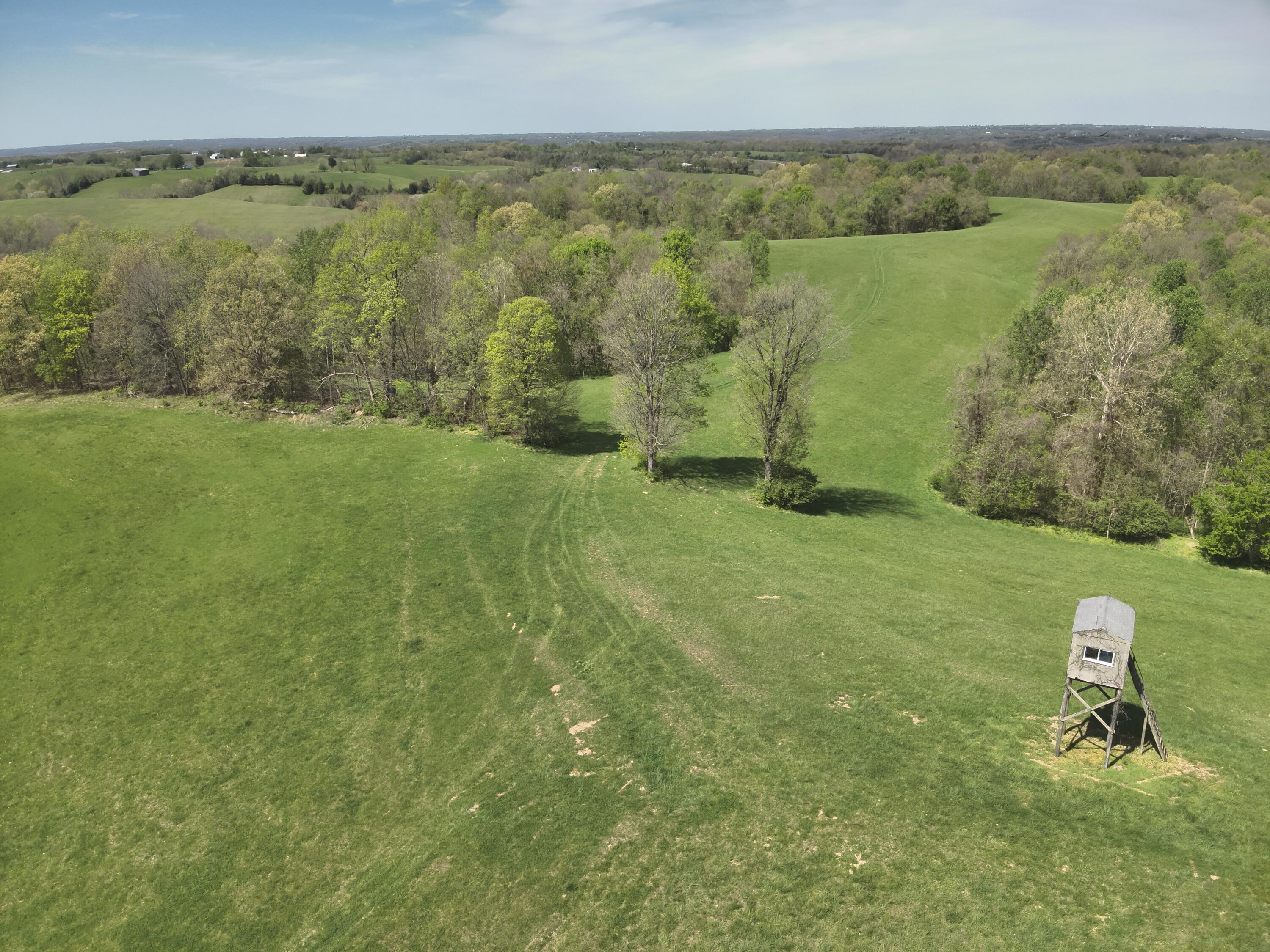 2451 Sardis Road Property Photo 15
