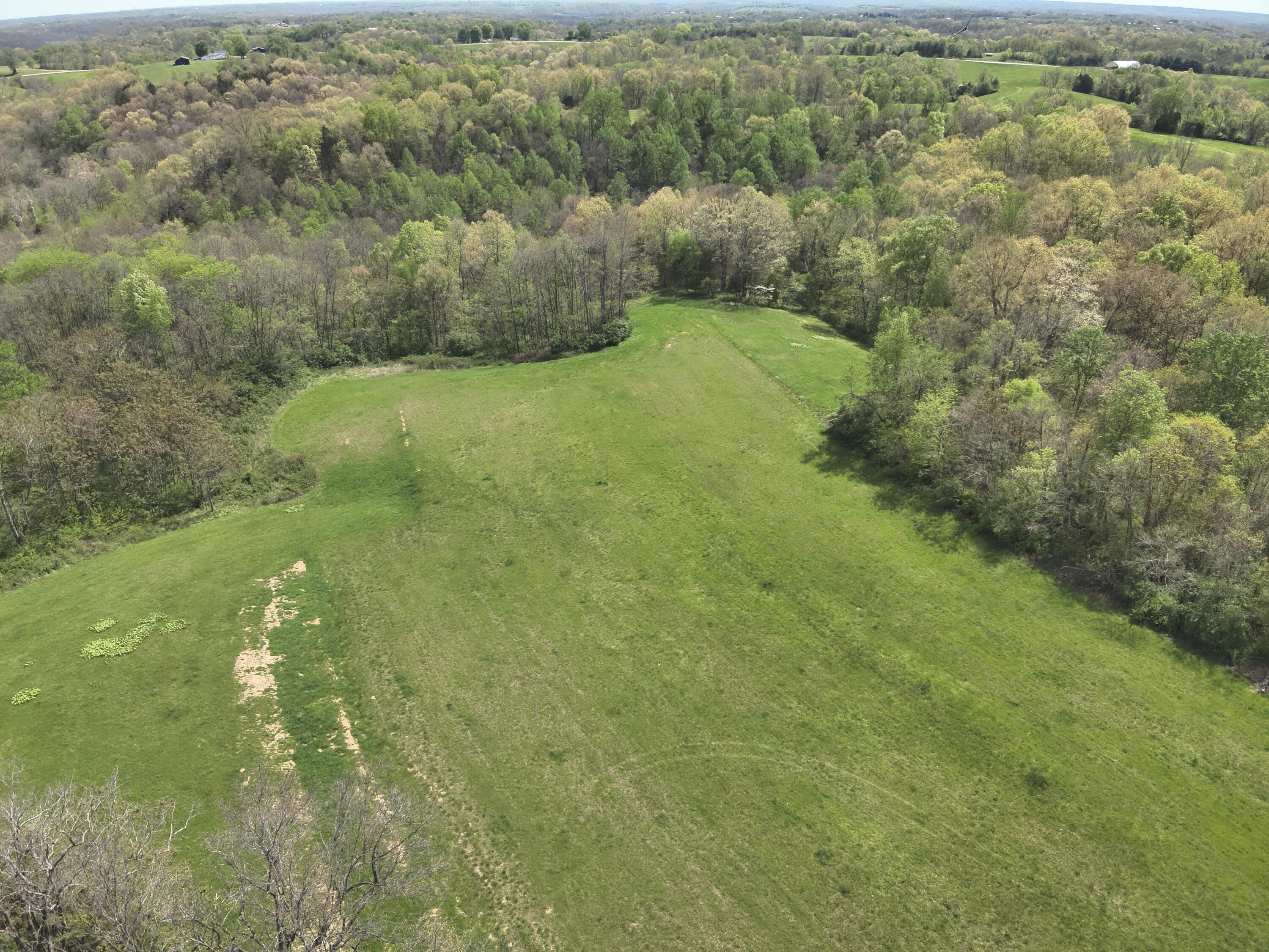 2451 Sardis Road Property Photo 17