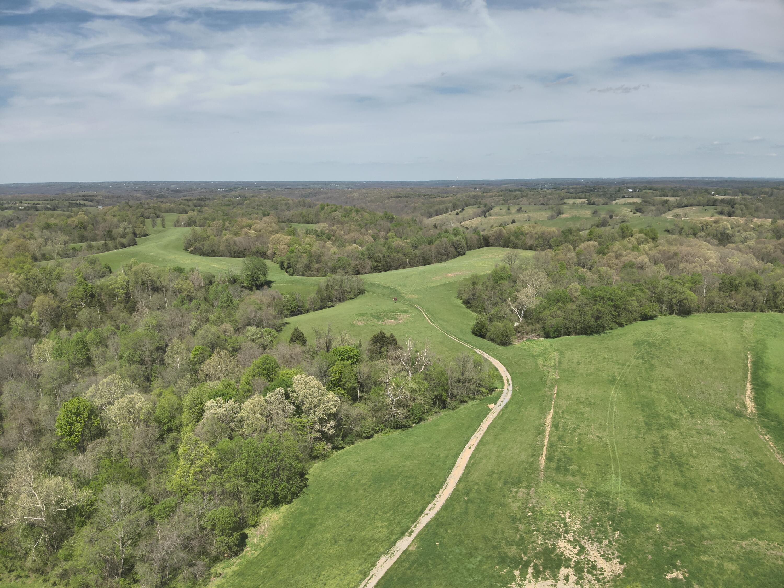 2451 Sardis Road Property Photo 20