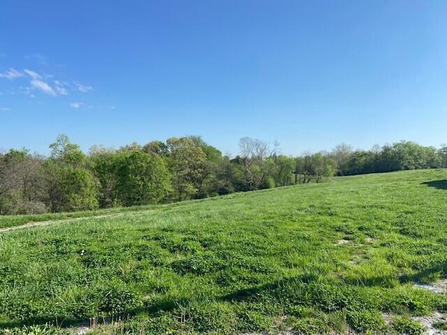 2451 Sardis Road Property Photo 23