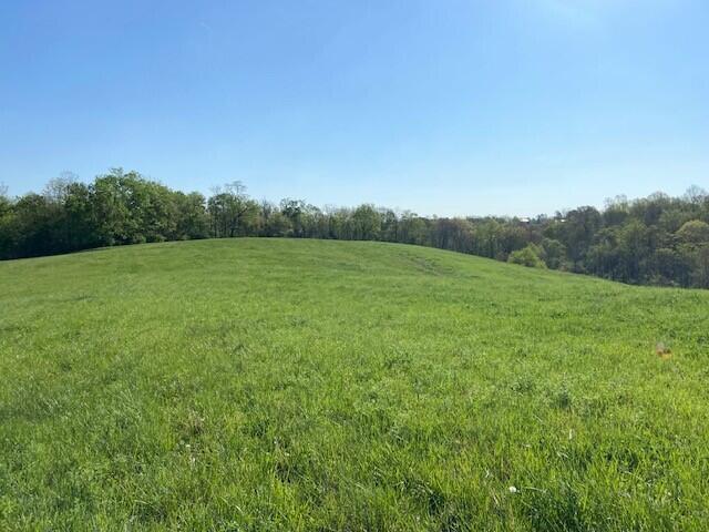 2451 Sardis Road Property Photo 24