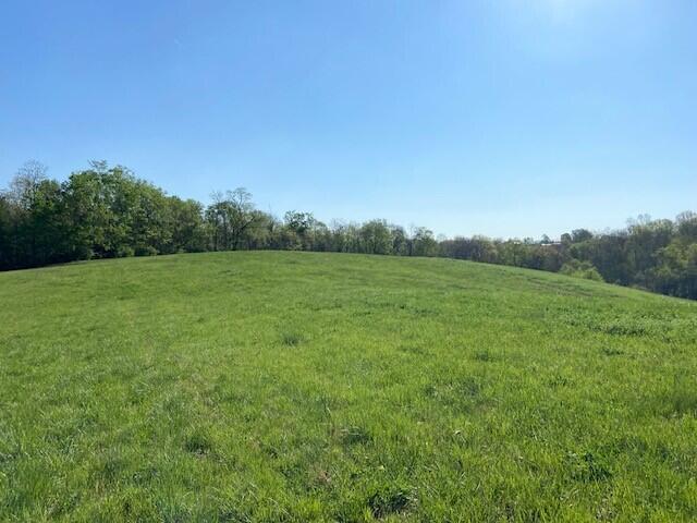2451 Sardis Road Property Photo 25