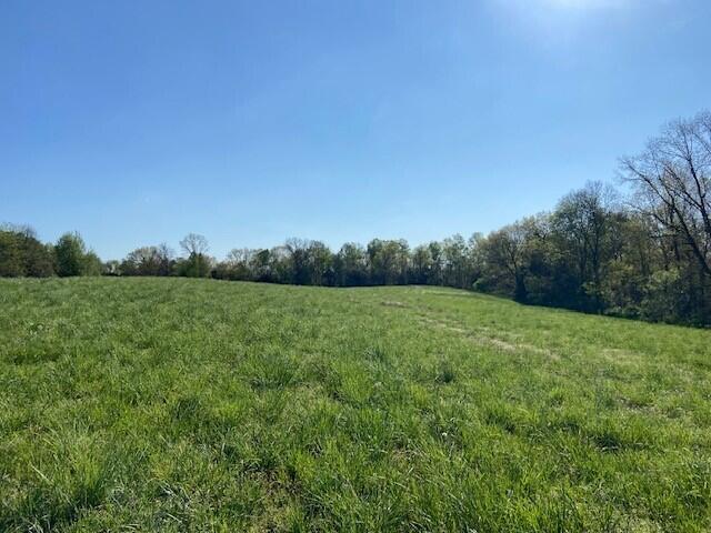 2451 Sardis Road Property Photo 26