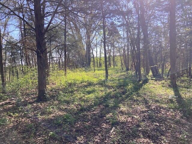 2451 Sardis Road Property Photo 27
