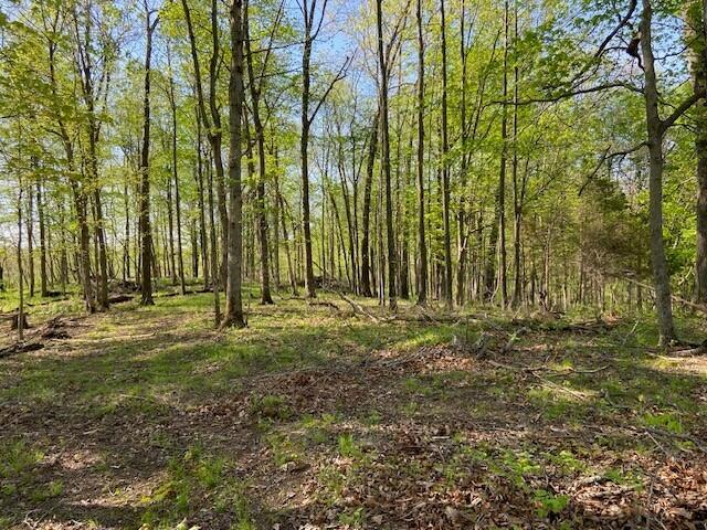 2451 Sardis Road Property Photo 29