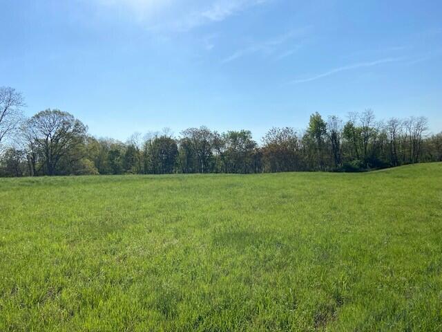 2451 Sardis Road Property Photo 31