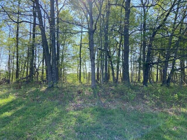 2451 Sardis Road Property Photo 33