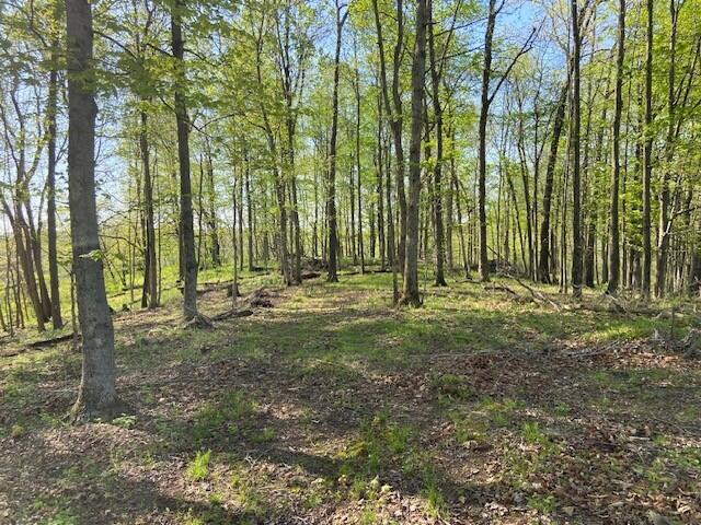 2451 Sardis Road Property Photo 34