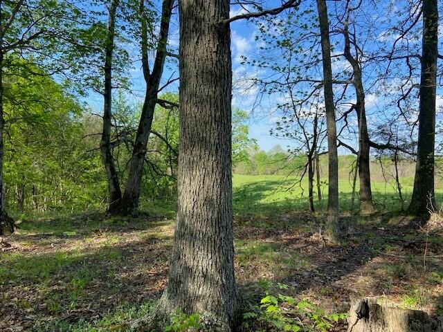 2451 Sardis Road Property Photo 35