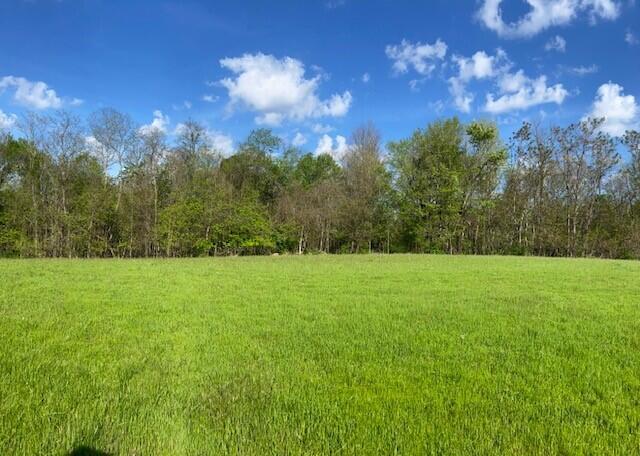2451 Sardis Road Property Photo 39