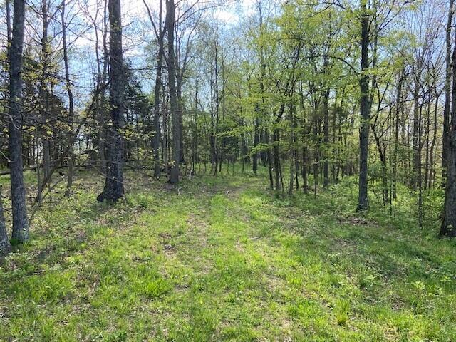 2451 Sardis Road Property Photo 40