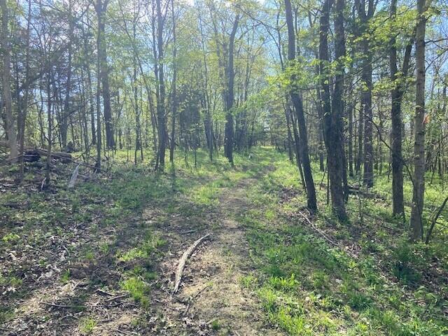 2451 Sardis Road Property Photo 41