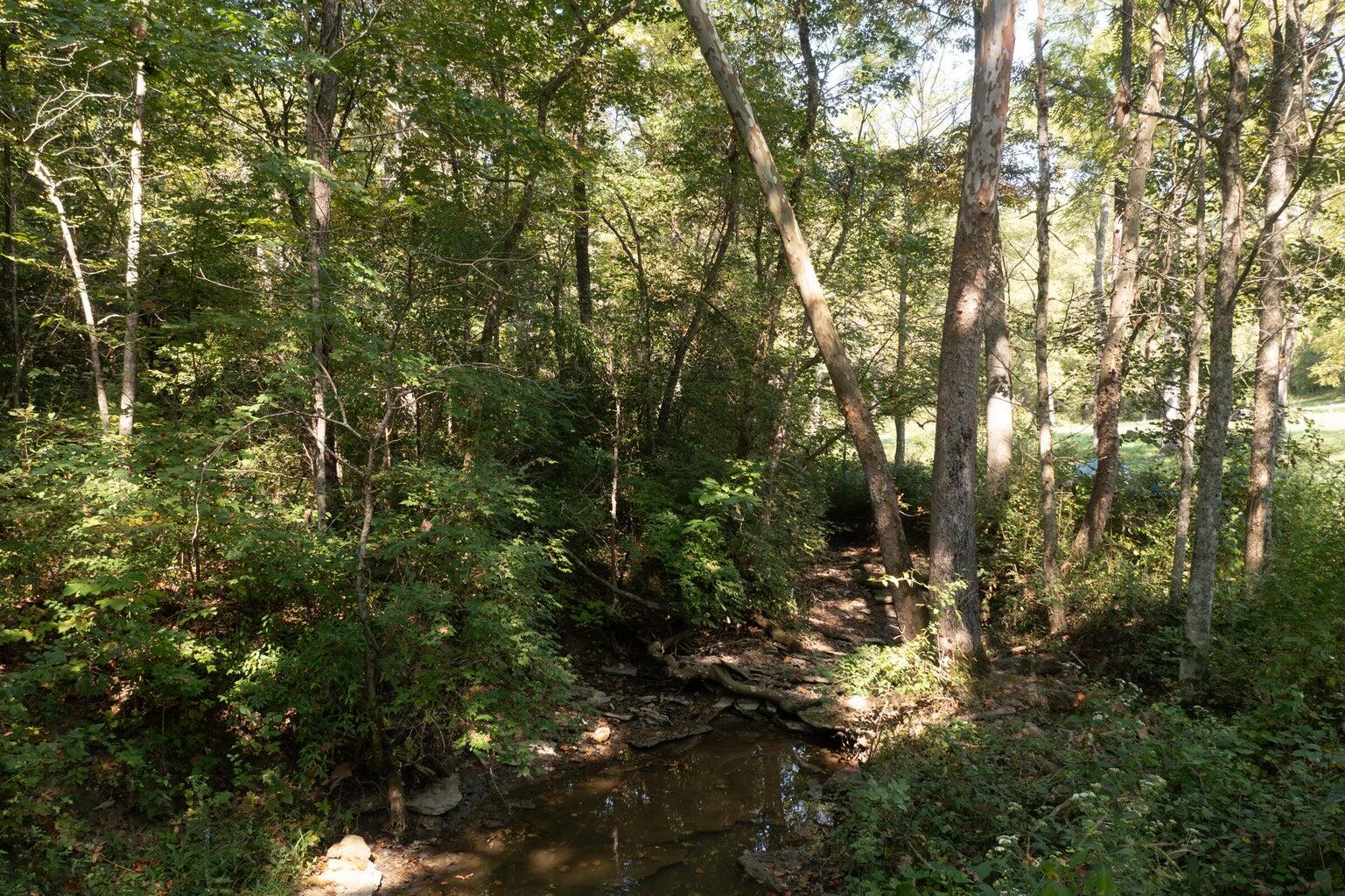 0 Roselawn Drive Property Photo 9