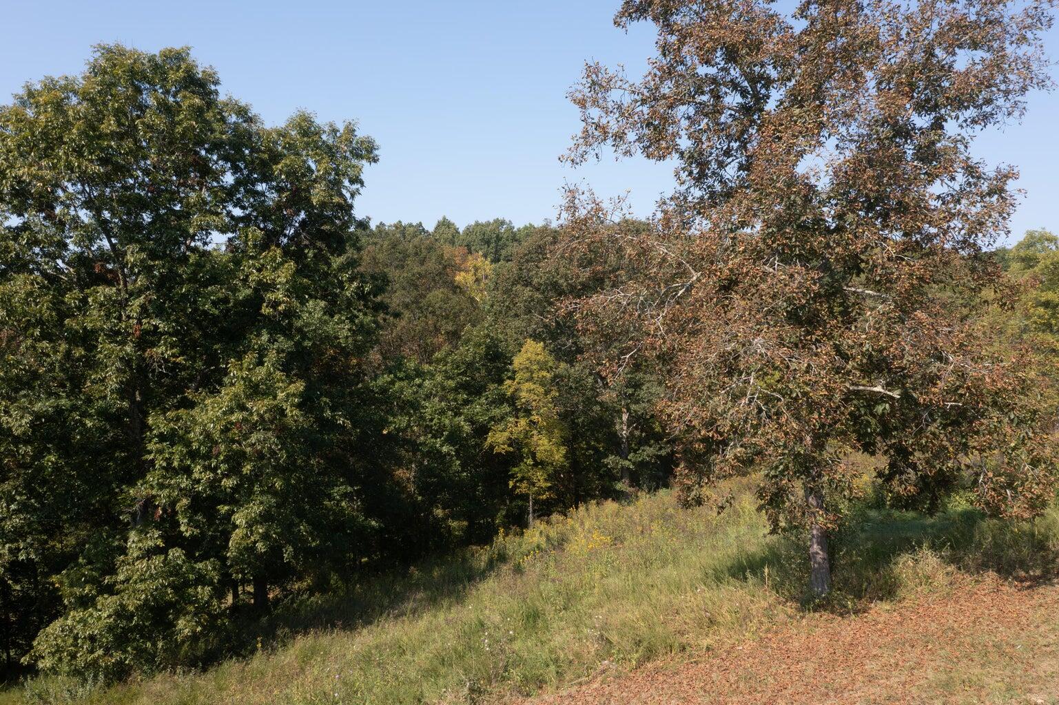 0 Roselawn Drive Property Photo 14