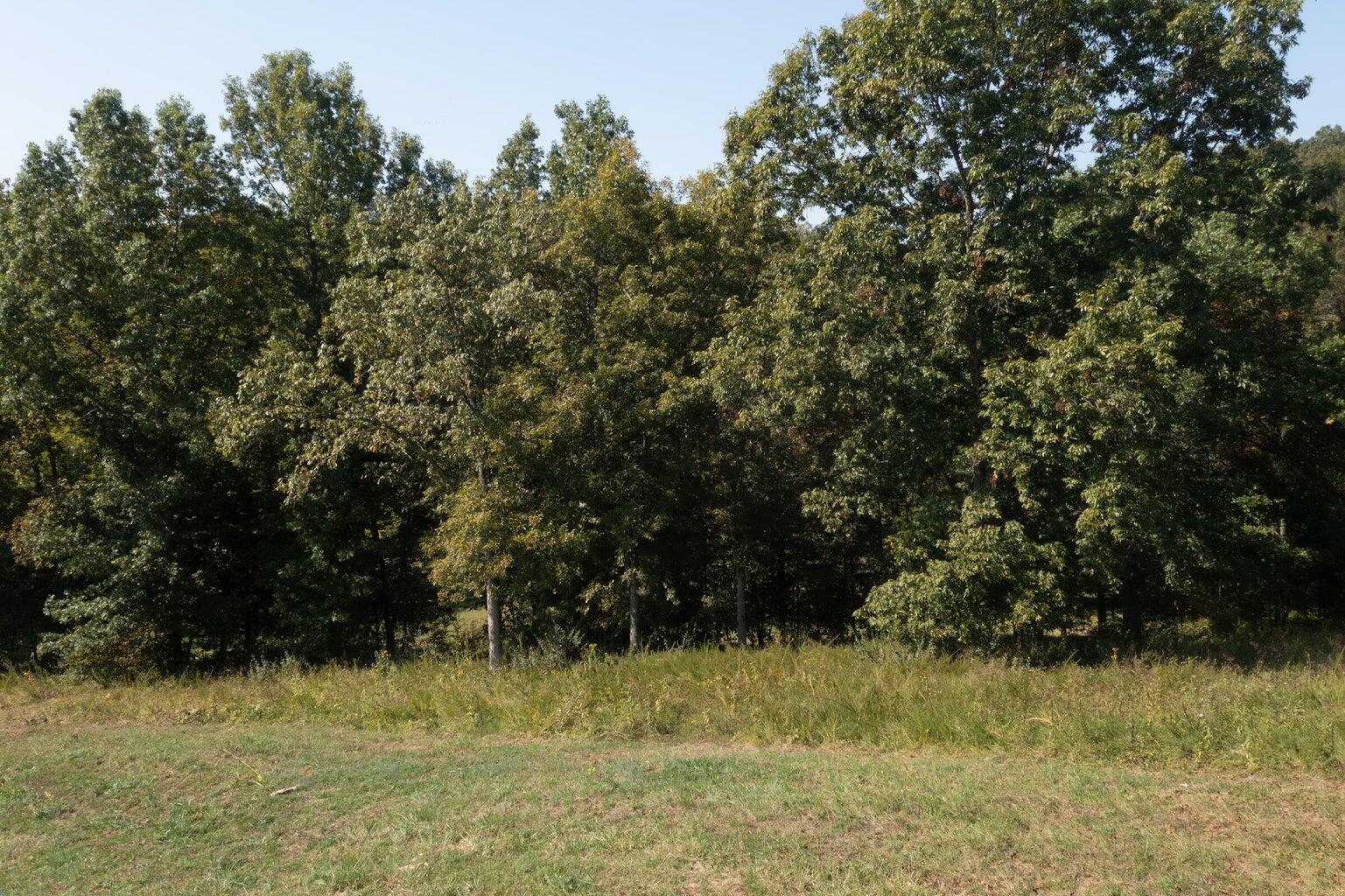 0 Roselawn Drive Property Photo 22