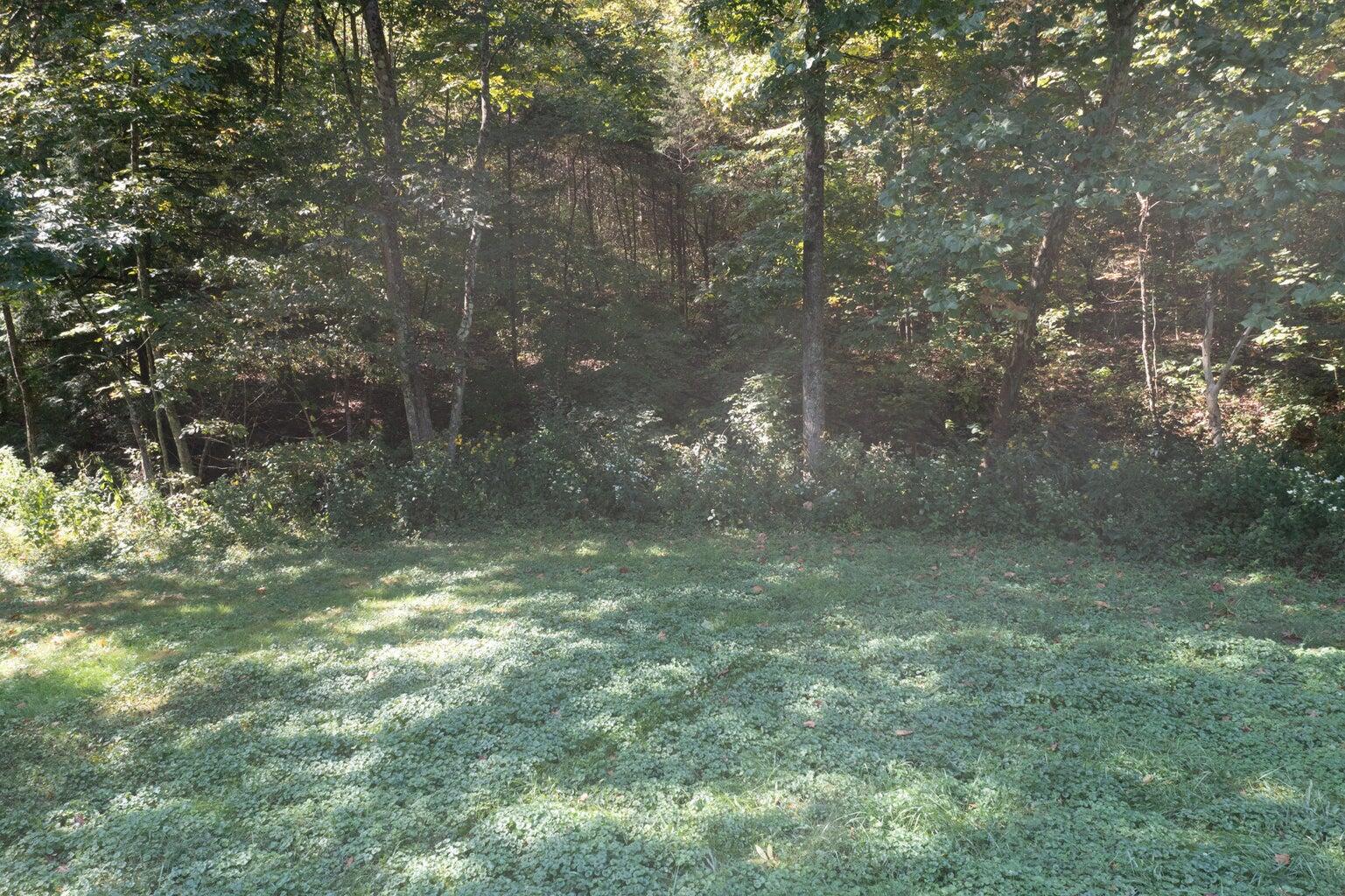 0 Roselawn Drive Property Photo 24