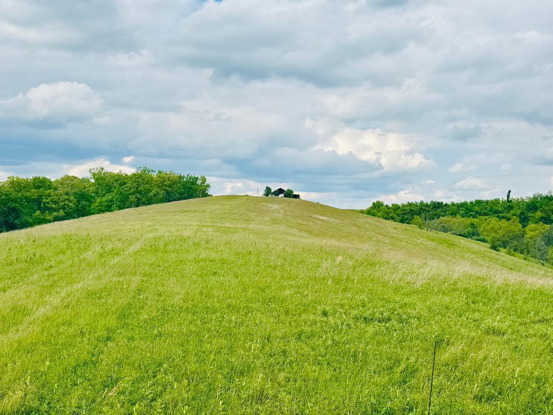 45 Acres Chipman Ridge Road, 43 Acres Property Photo