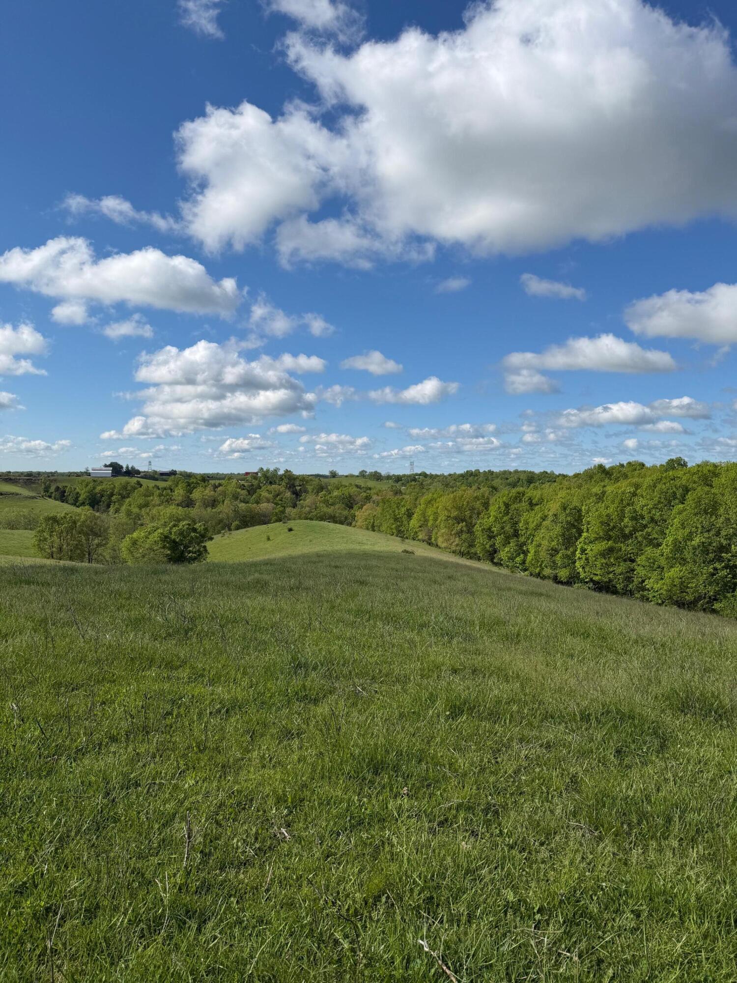 14.17 Ac Chipman Ridge Road