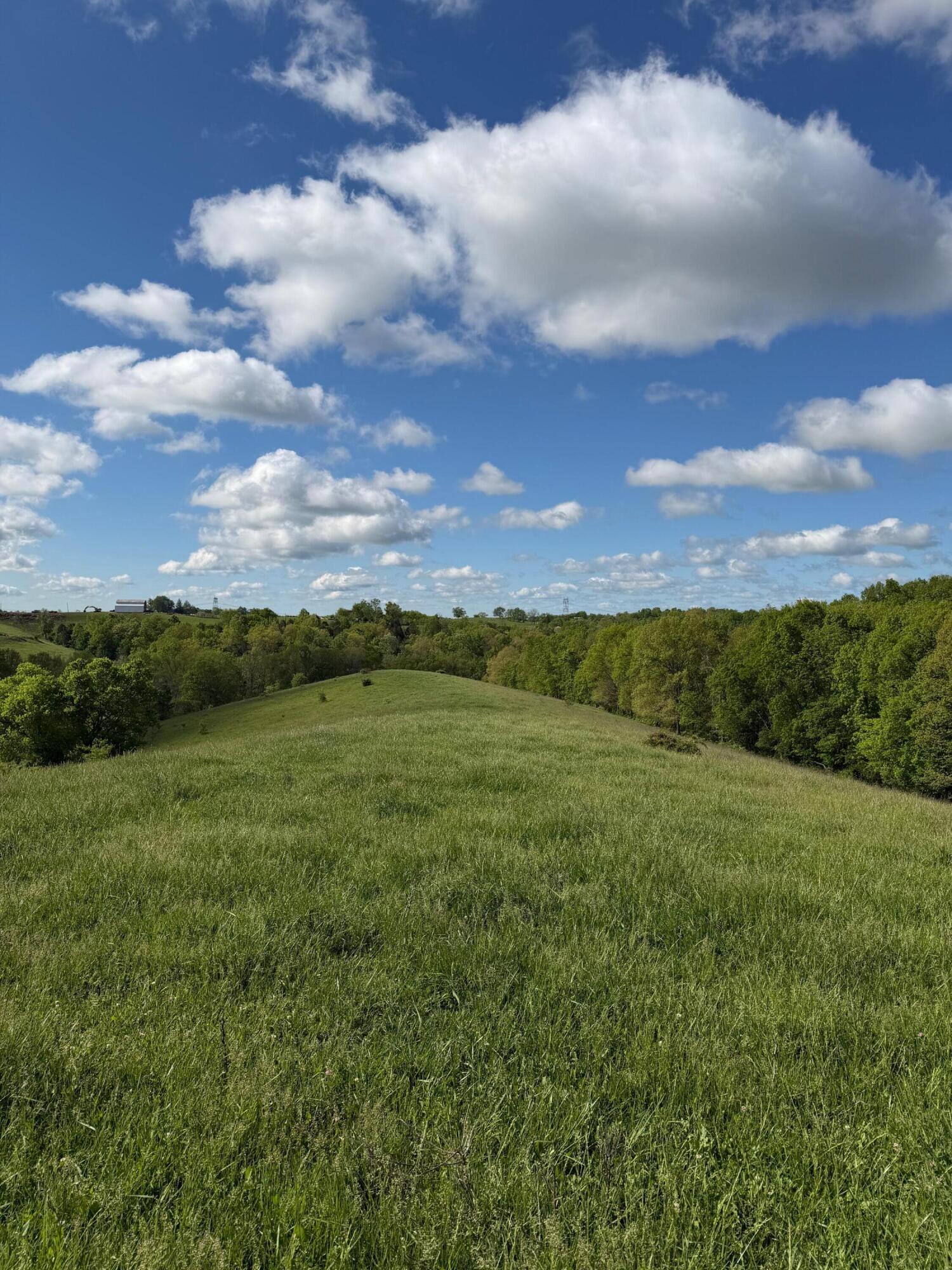 14.17 Ac Chipman Ridge Road Property Photo 2