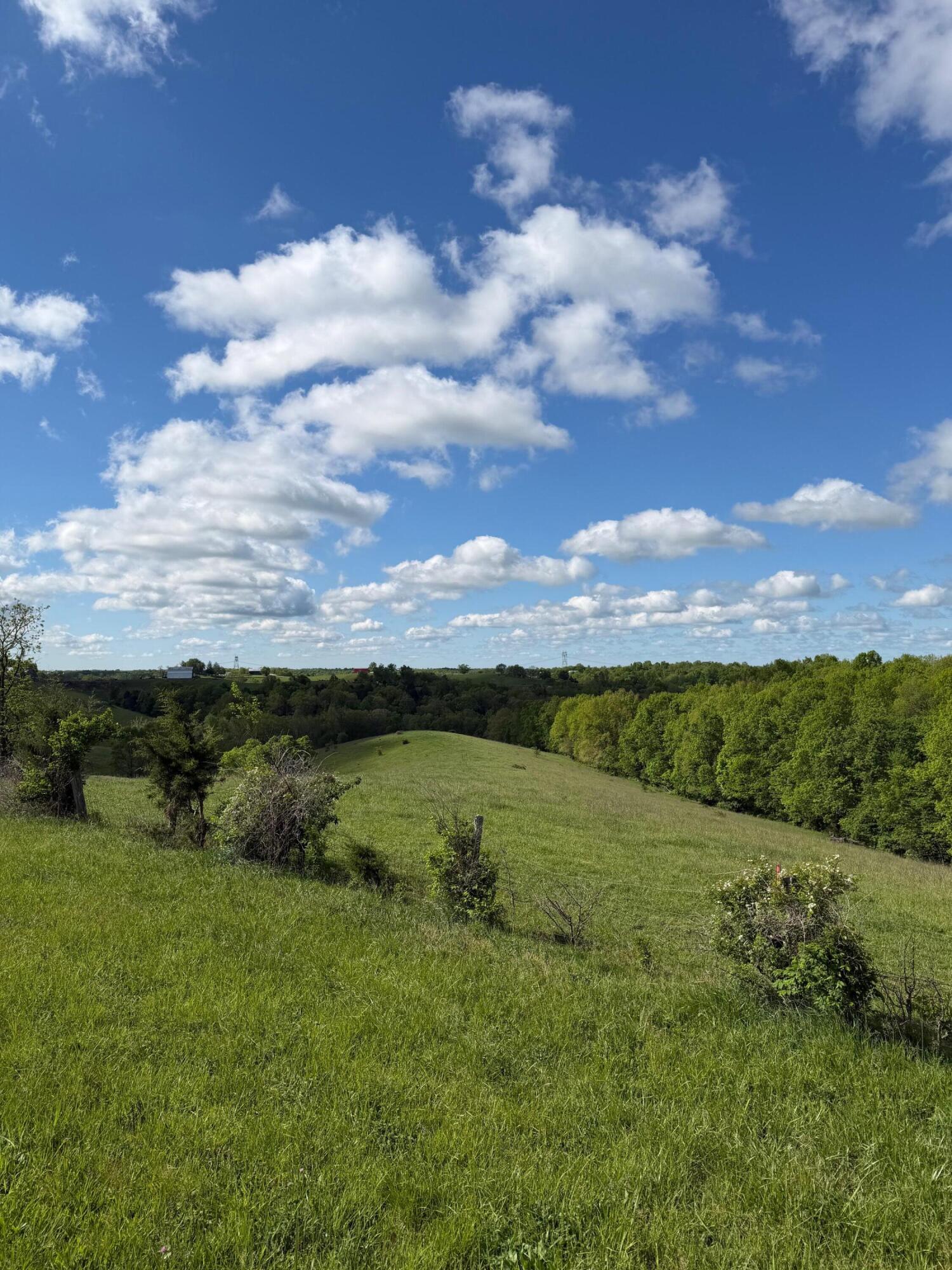 14.17 Ac Chipman Ridge Road Property Photo 3