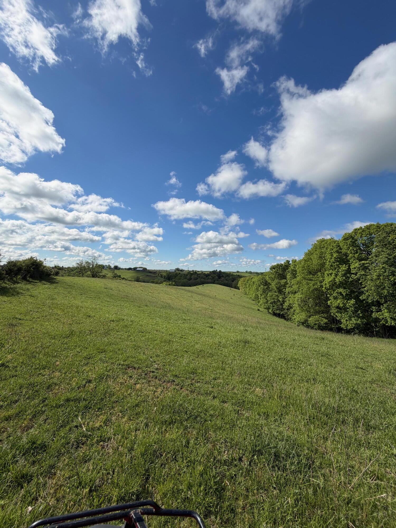 14.17 Ac Chipman Ridge Road Property Photo 4