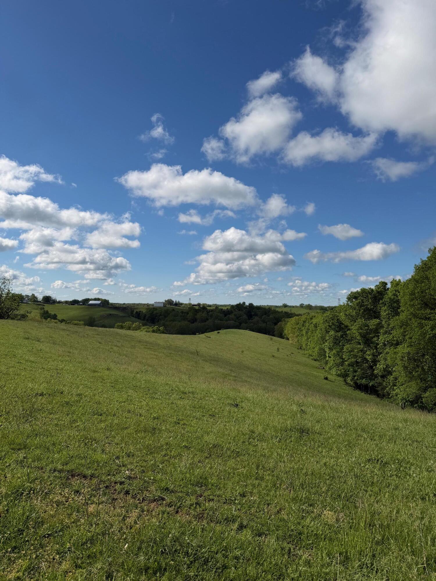 14.17 Ac Chipman Ridge Road Property Photo 5
