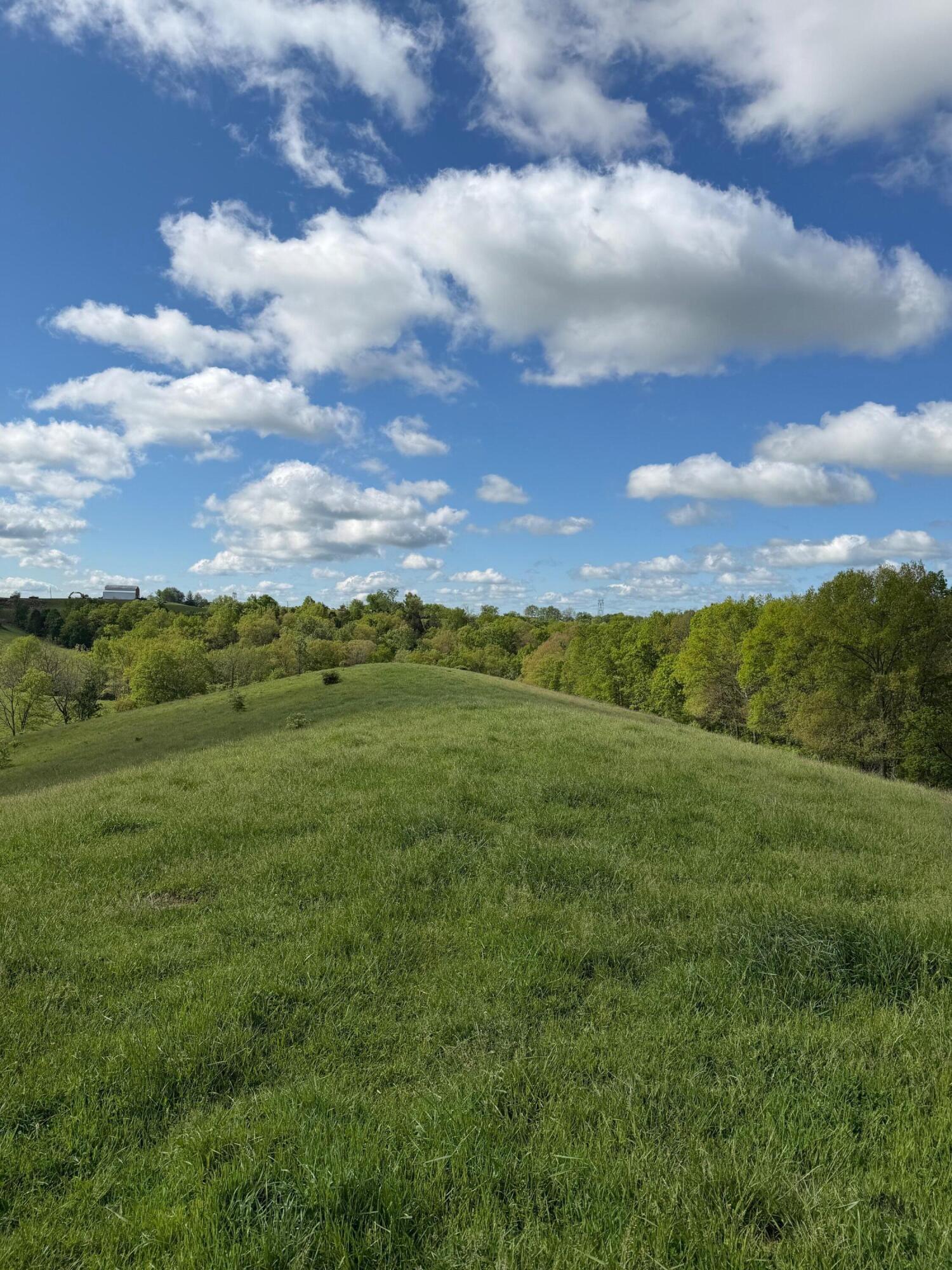 14.17 Ac Chipman Ridge Road Property Photo 6