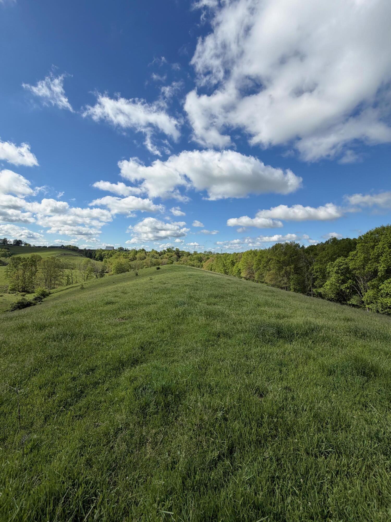 14.17 Ac Chipman Ridge Road Property Photo 7