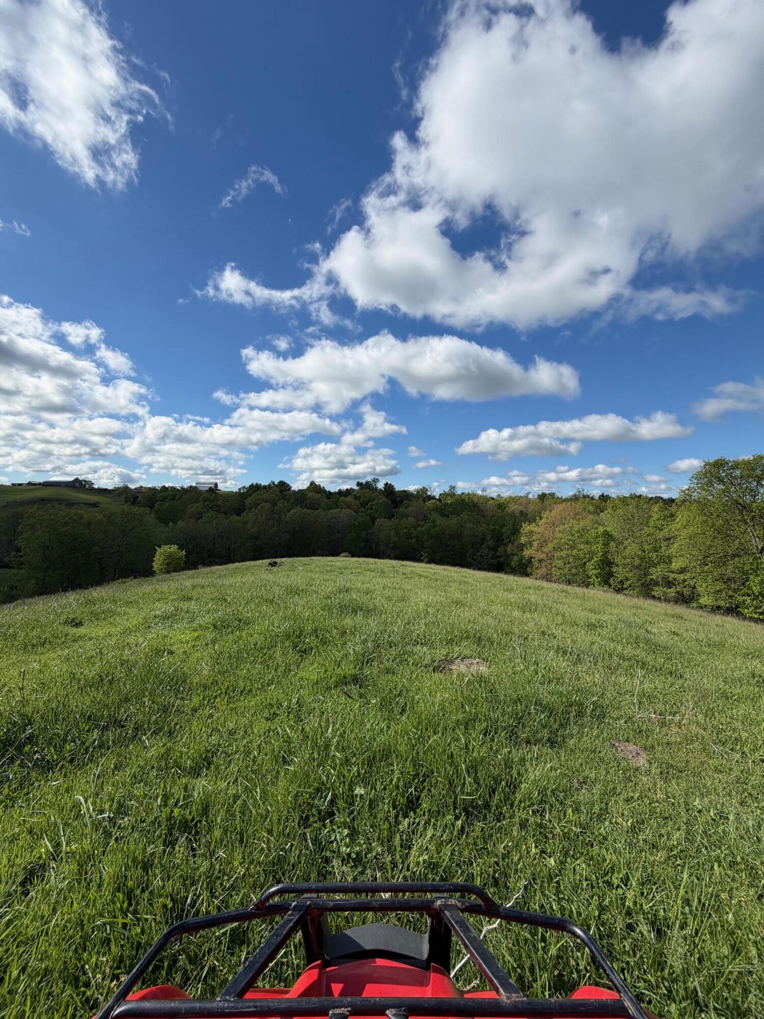 14.17 Ac Chipman Ridge Road Property Photo 8