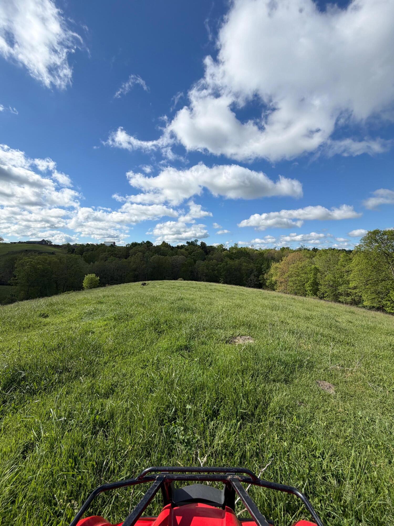 14.17 Ac Chipman Ridge Road Property Photo 9